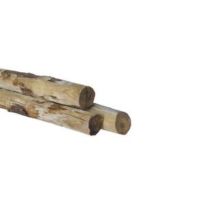 Kastanie - ø100-120 x 3000 mm - Geschält - Spitz